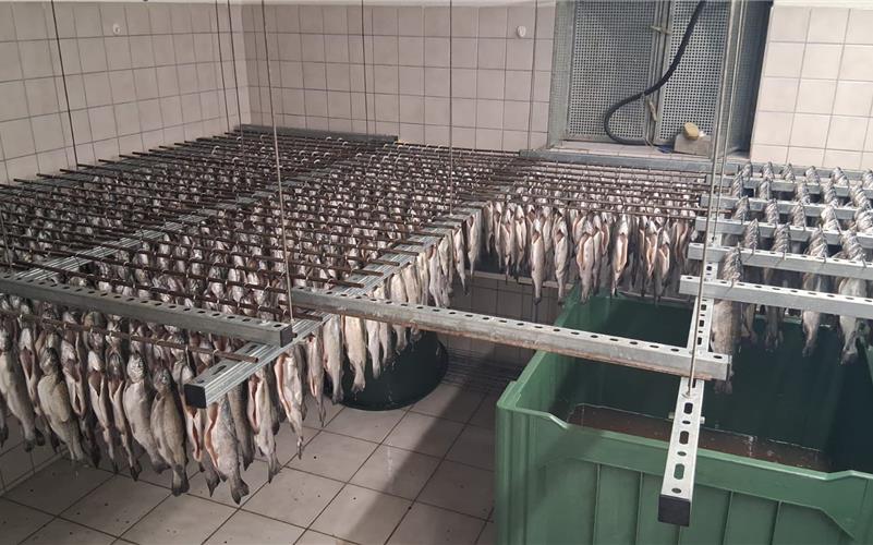 Die Forellen werden auf Räucherhaken gehängt, um zu trocknen. GB-Foto: gb