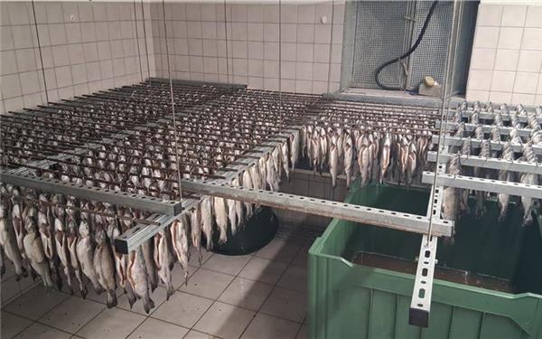 Die Forellen werden auf Räucherhaken gehängt, um zu trocknen. GB-Foto: gb