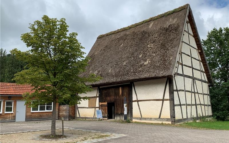 Die Gärtringer Scheune aus 1496 steht seit Einweihung des Freilichtmuseums in BeurenGB-Foto: Holzapfel
