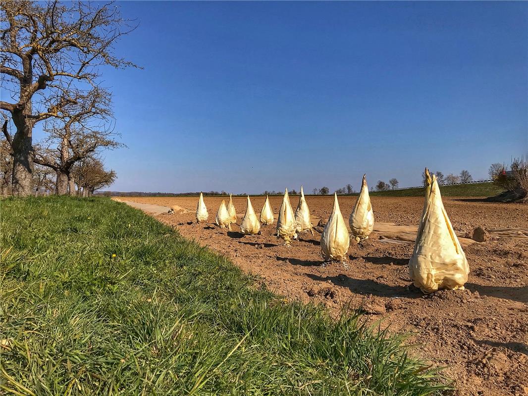 Die Gäufeldenerin Anja Schnotz sagt zu ihrem in Bondorf gemachten Foto: "Spitzko...