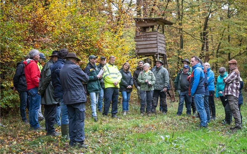 Die Gemeinderäte spazierten dreieinhalb Kilometer durch den kommunalen Wald. GB-Foto: Schmidt