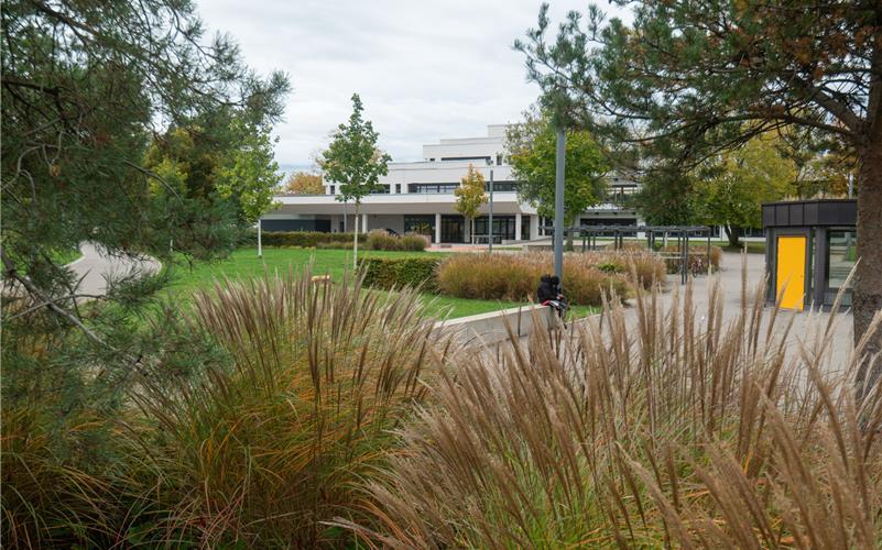 Die Gemeinschaftsschule in Jettingen besuchen Stand Ende 2025 rund 430 Schüler. GB-Foto: Vecsey
