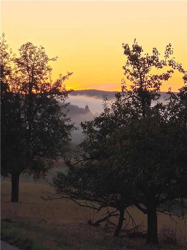 Die Glucke im Nebel bei Sonnenaufgang am 4. Oktober. Von Eva Althoff-Nüßle aus H...