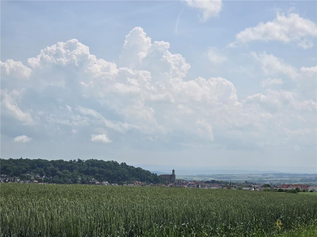 Die Glückes vor Gewitterwolken.  Von Susanne Schödel aus Herrenberg.