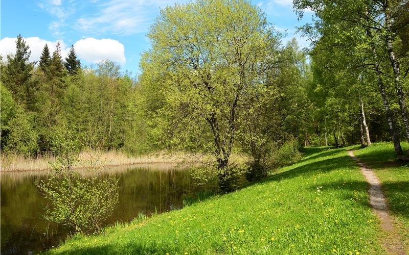 Die Hausemer Schönbuchschule liegt vor den Pforten des Naturparks Schönbuch – mit seiner Waldlandschaft, seinen Tierbeständen und Seen, wie beispielsweise dem Kohlweiher. Ein ideales Klassenzimmer.GB-Foto: Erich Tomschi/Naturpark Schönbuch
