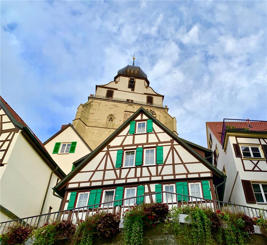 Die Herrenberger Kirche von unten hat Minya Rollinson aus Öschelbronn aufgenomme...