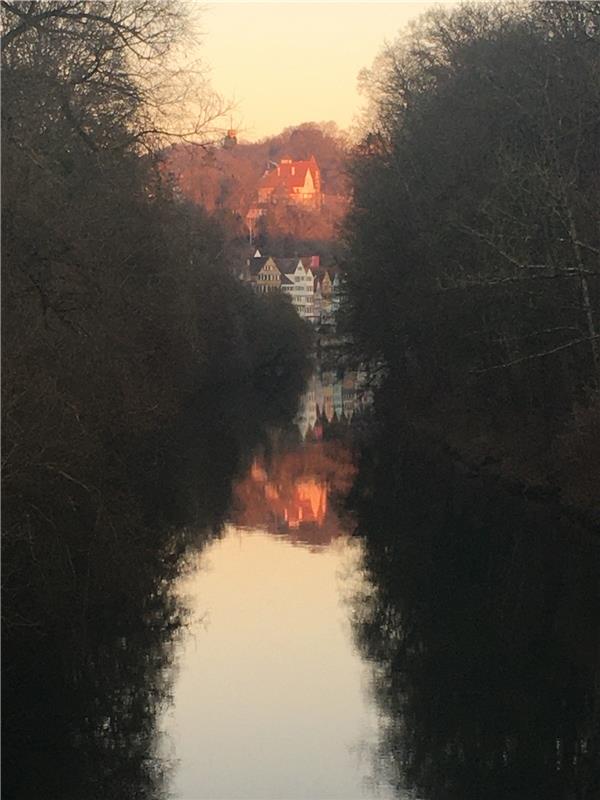 Die Herrenbergerin Nadja Weiss hat dieses Idyll am Neckar in Tübingen aufgenomme...