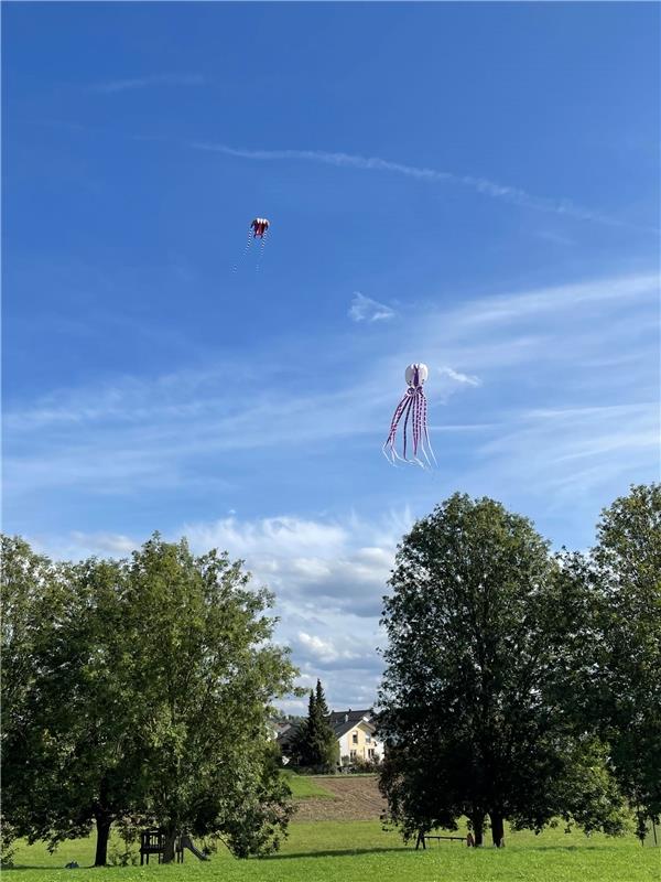 Die Invasion... Von Carolin Nüßle aus Herrenberg.