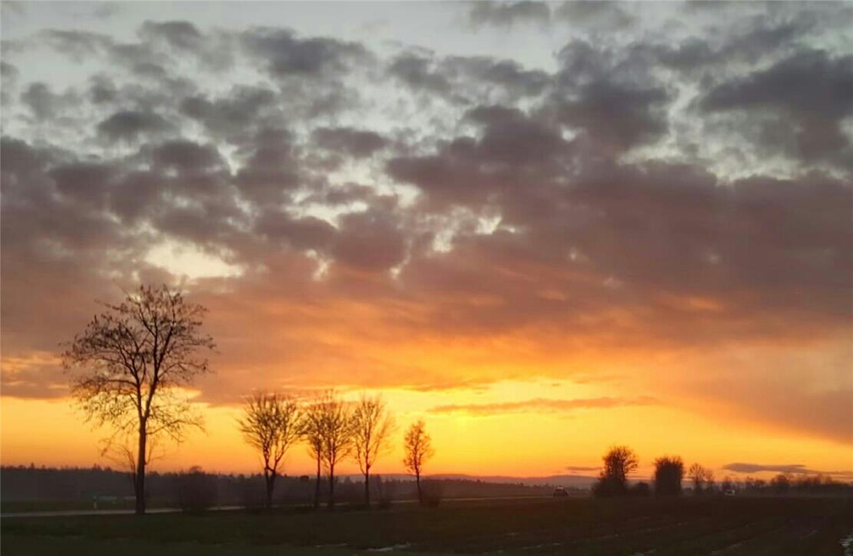 Die Jettingerin Anita Hornikel fing nach einem abendlichen Spaziergang bei herrl...