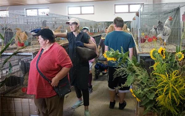 Die Jungtierschau des Kleintierzuchtvereins Mötzingen lockt viele interessierte Besucher an. GB-Foto: Straub