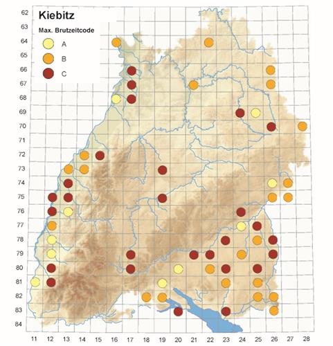 Die Karte zeigt, dass es vor allem in der Mitte Baden-Württembergs nur noch wenige Kiebitz-Reviere gibt GB-Grafik: OGBW