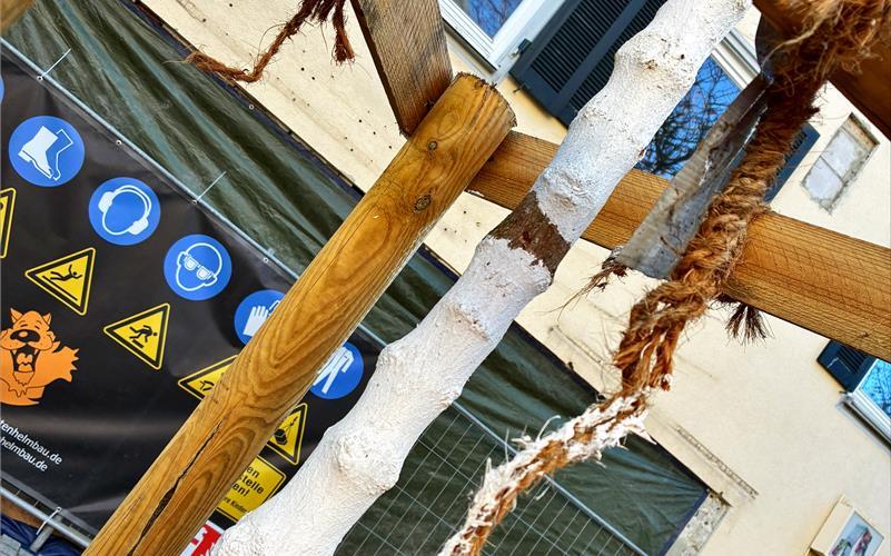 Die Kokosstricke, mit denen die Bäume an die Befestigungspfosten festgebunden waren, wurden von Unbekannten durchgeschnitten. GB-Foto: Stadtverwaltung