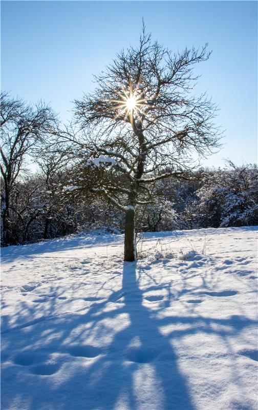 Die Kraft der Sonne  genießt Gabi Brenner in Herrenberg.