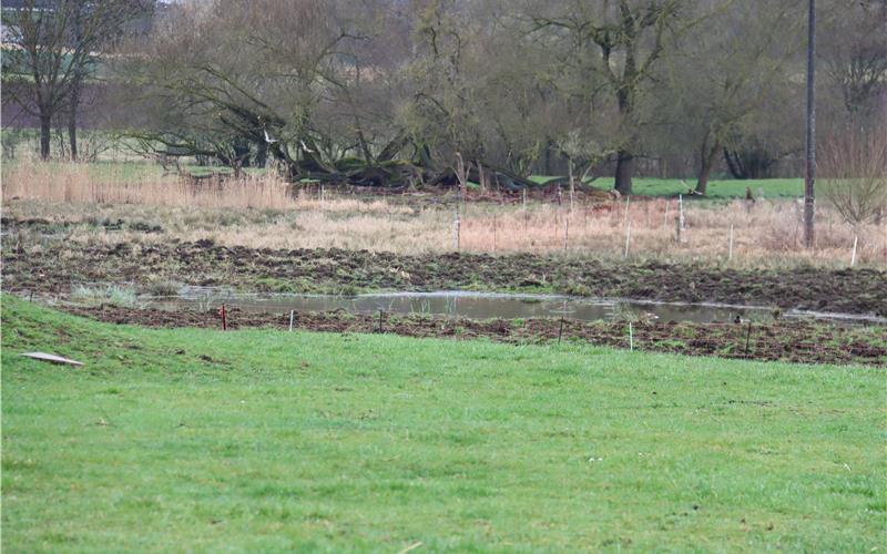 Die Nabu-Ortsgruppe engagiert sich unter anderem im Nufringer Ried. GB-Foto: gb