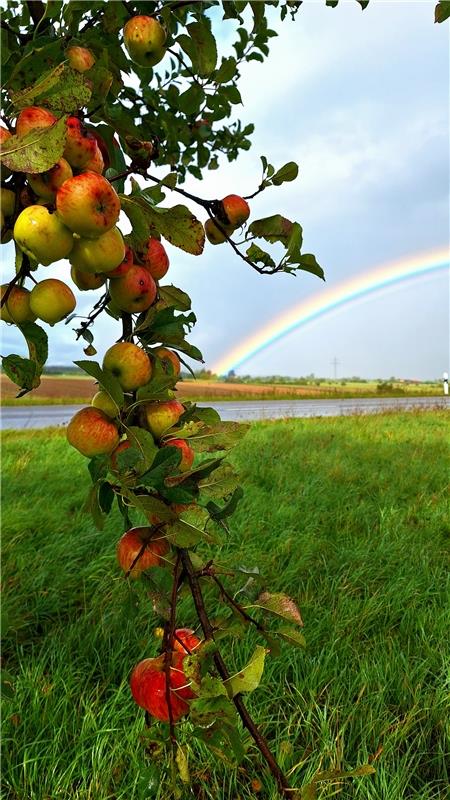 Die Natur in allen Farben.  Von Daniel Dargel aus Gäufelden-Nebringen.