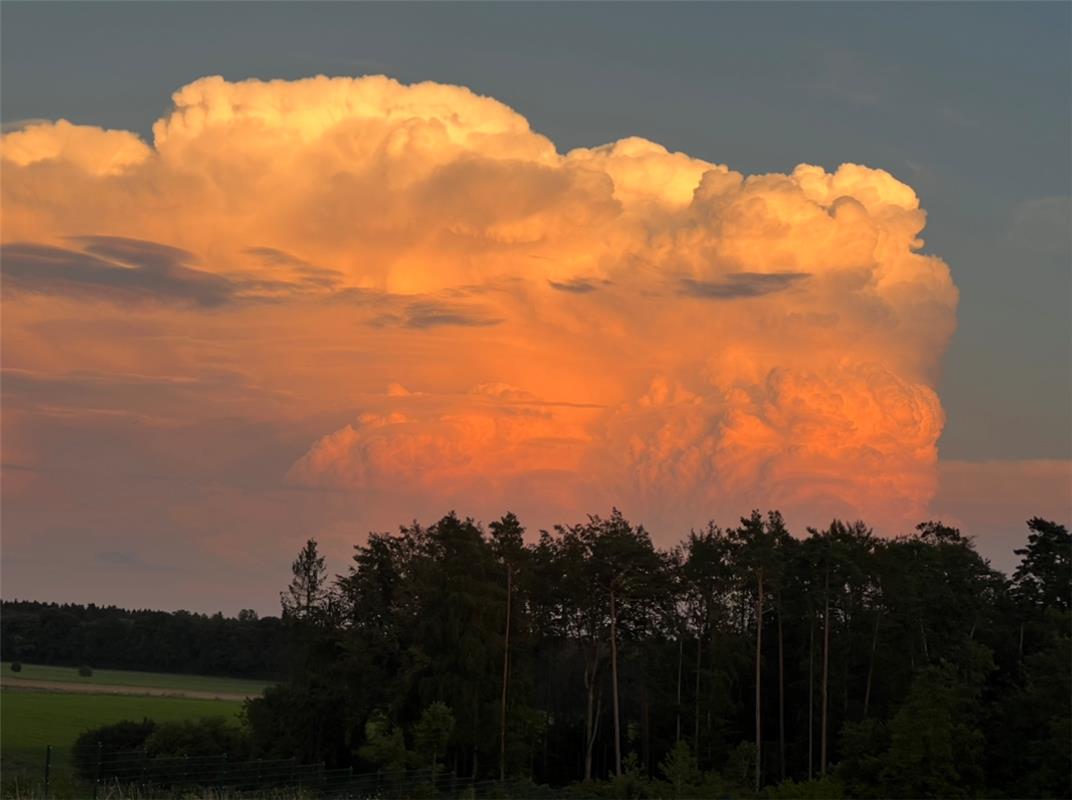 Die Natur macht die schönsten Bilder!  Von Dorothea Etüs aus Jettingen.