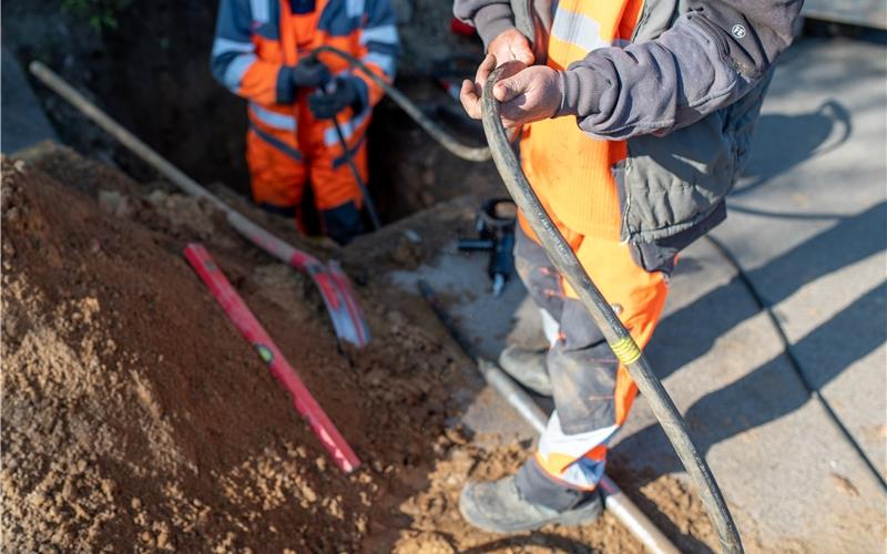 Die Netze BW strebt eine „verursachergerechte Kostenverteilung“ an. GB-Foto: Sonja - stock.adobe.com