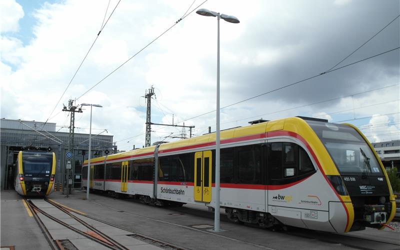 Die Nexio-Züge warten weiterhin auf den Regelbetrieb. GB-Foto: gb