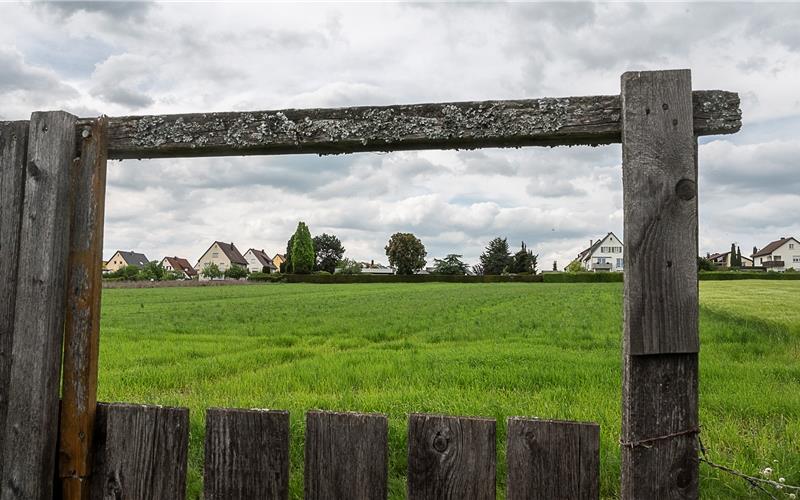 Die Pläne für ein neues Stadtquartier Herrenberg-Süd kommen noch einmal auf den Prüfstand – im Rahmen einer Bürgerbeteiligung mit einem Bürgerrat.GB-Foto: Schmidt