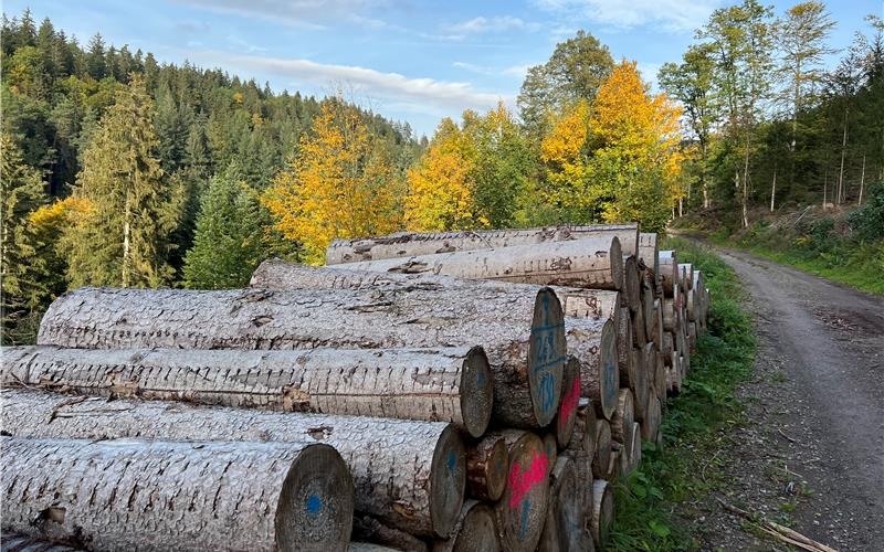 Die Preise für Holz sind seit 2018 am Markt volatil. GB-Foto: Priestersbach