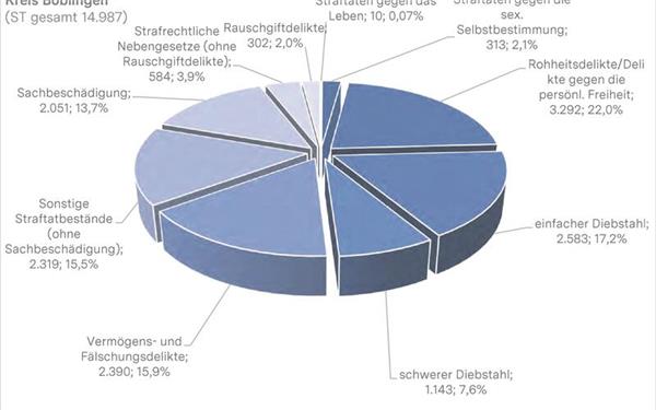 Die Rohheitsdelikte bilden immer noch den größten Teil der Straftaten. GB-Grafik: Polizei