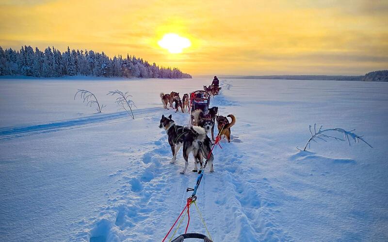 Die Route verlief über gespurte Loipen. GB-Fotos: gb