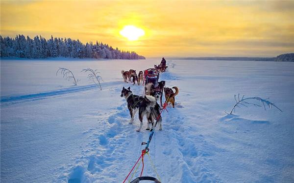 Die Route verlief über gespurte Loipen. GB-Fotos: gb