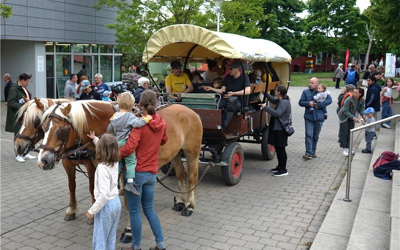 Die Rundfahrten mit der Pferdekutsche beim Tennentaler Frühlingsfest erfreuten sich bei Kindern großer Beliebtheit. GB-Foto: Straub