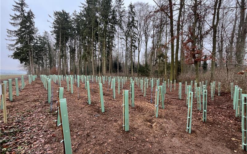 Die Schüler sahen sofort das Ergebnis ihres Engagements. GB-Foto: gb