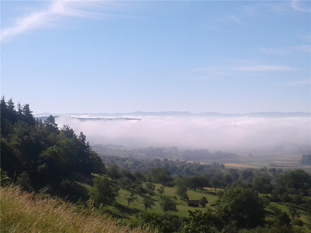 Die Schwäbische Alb ragt aus dem Nebel bei Kayh. Gerd Kegreiss hat diesen Schnap...