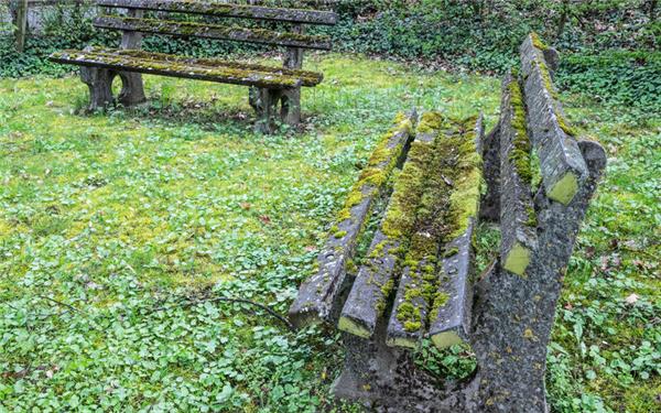 Die Sitzbänke auf dem Friedhof sind manchem Bürger zu schmutzig. GB-Foto: Schmidt
