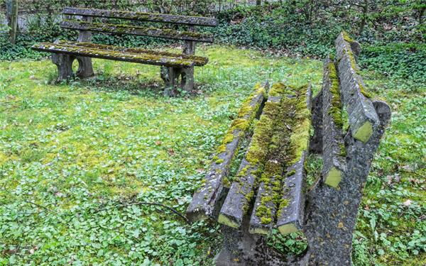 Die Sitzbänke auf dem Friedhof sind manchem Bürger zu schmutzig. GB-Foto: Schmidt