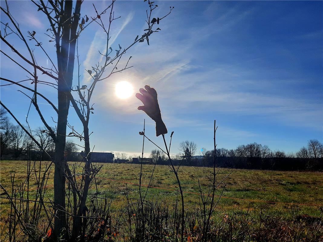 Die Sonne schnapp ich mir.  Von Heiko Weiß.