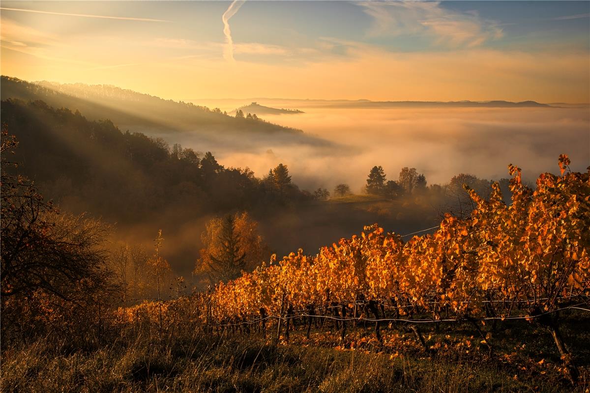 Die Sonne taucht bei Unterjesingen alles in goldenes Licht, als sie zum Vorschei...