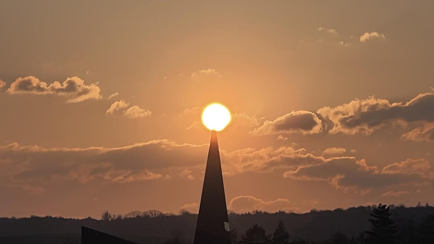 Die Sonne treibt es auf die Spitze.  Von Bruno Schölzel aus Herrenberg.