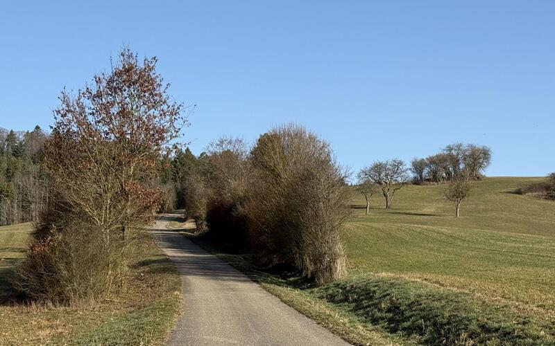 Die Stadt Wildberg erteilte jetzt das gemeindliche Einvernehmen für die beiden auf Gemarkung Gültlingen geplanten Windkraft-anlagen. GB-Foto: Priestersbach