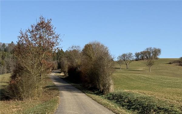 Die Stadt Wildberg erteilte jetzt das gemeindliche Einvernehmen für die beiden auf Gemarkung Gültlingen geplanten Windkraft-anlagen. GB-Foto: Priestersbach