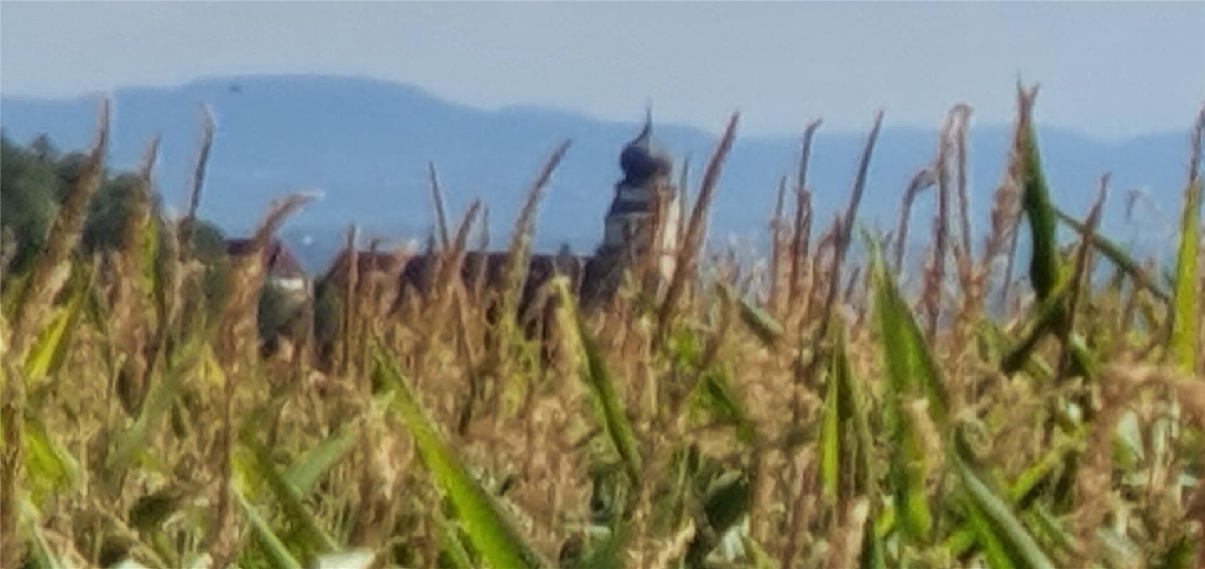 Die Stiftskirche in Mais gebettet erblickte Sabine Humm beim Gasssigehen bei Kup...