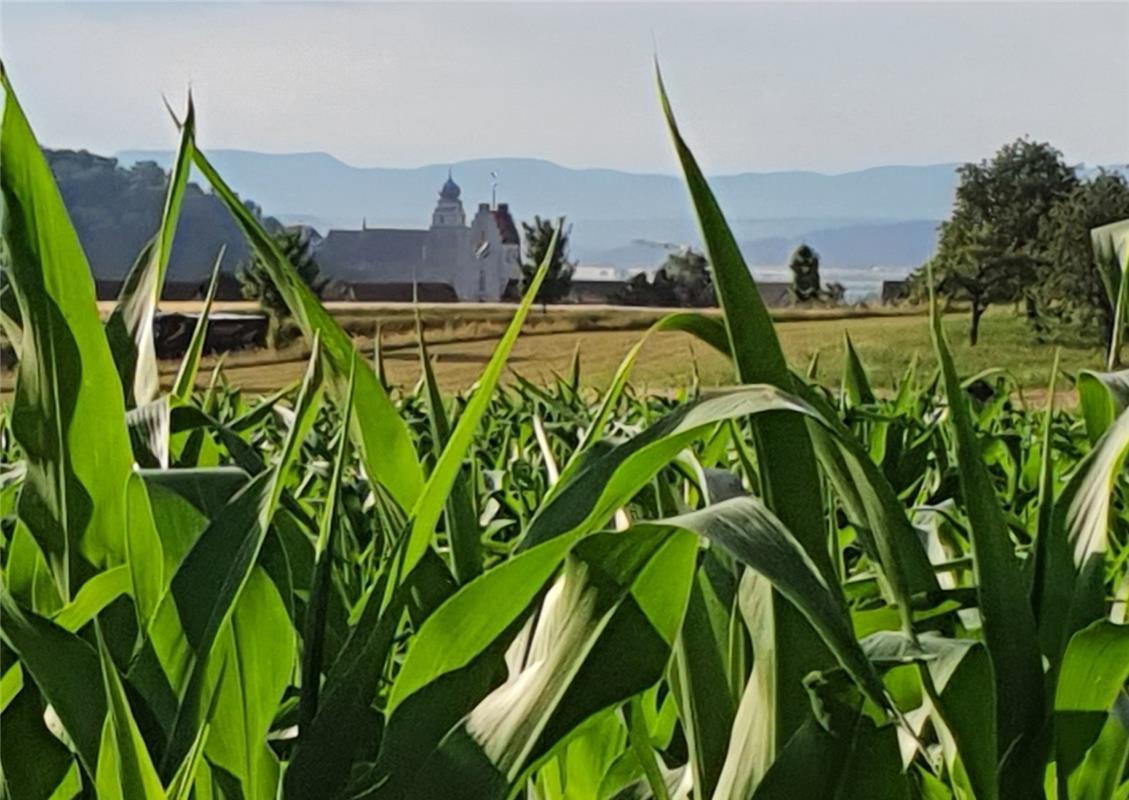 Die Stiftskirche und die Affstätter Kirche vereint.Sabine Humm mit ihrem Blick v...