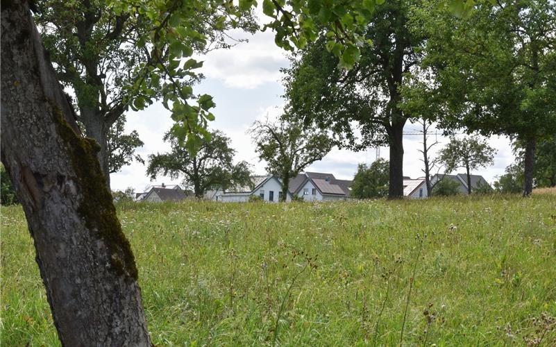 Die Streuobstbestände dürfen nicht angetastet werden. GB-Foto: Vecsey