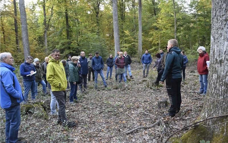 Die Teilnehmer versammelten sich auch an der Kahlschlagsfläche, die jungen Eichen Licht und Luft verschafft.  GB-Foto: Reichert