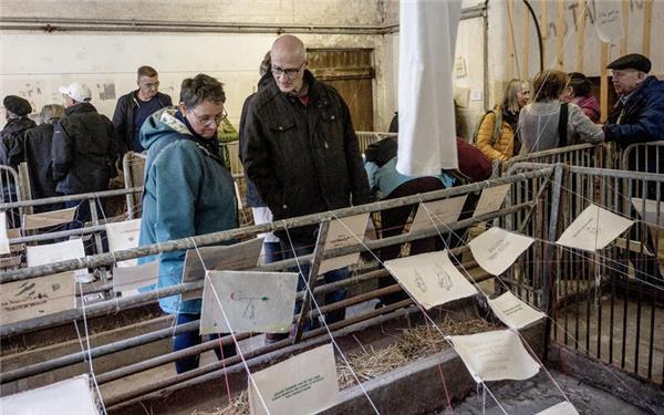 Die Texte regen zum Nachsinnen und zu spontanen Gesprächen an. GB-Foto: Schmidt