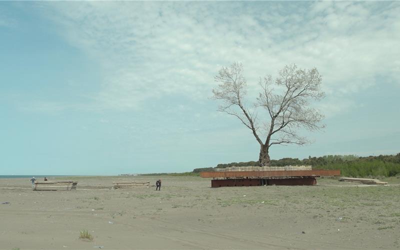 „Die Zähmung der Bäume“ ist auch eine Geschichte über die Entwurzelung von Leben.GB-Fotos: gb