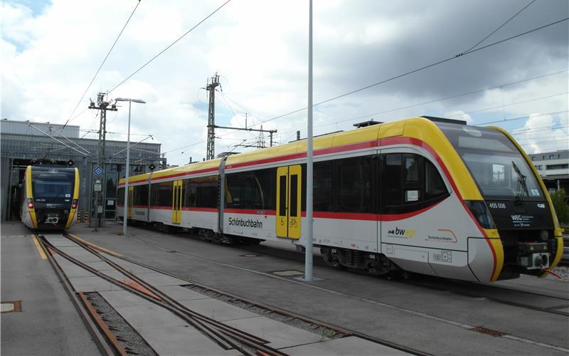 Die Züge müssen auf der Hebebühne der Werkhalle neu justiert werden. GB-Foto: Staber