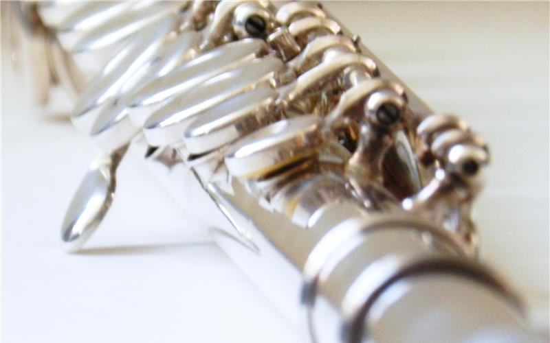 Die Zukunft der Schule hängt an einem Gemeinderatsbeschluss.GB-Foto: Holom