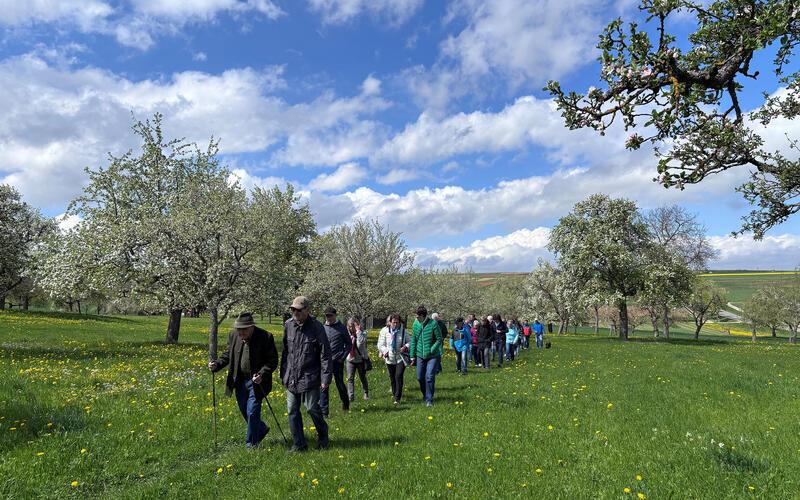 Die ausgewählte Strecke bot beste Voraussetzungen, um die diesjährige Obstblüte aus nächster Nähe zu erleben. GB-Foto: gb