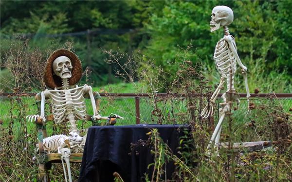Die beiden warten schon sehr lange auf Halloween (fotografiert von Natalie Politz aus Hildrizhausen)