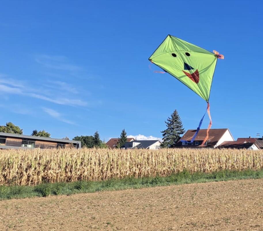Die ersten Drachen fliegen schon, hoch oben, leicht und frei. Der Wind lässt sie...