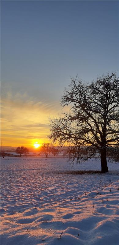 Die letzten Sonnenstrahlen des Tages legen sich sanft auf den Schnee - wundersch...