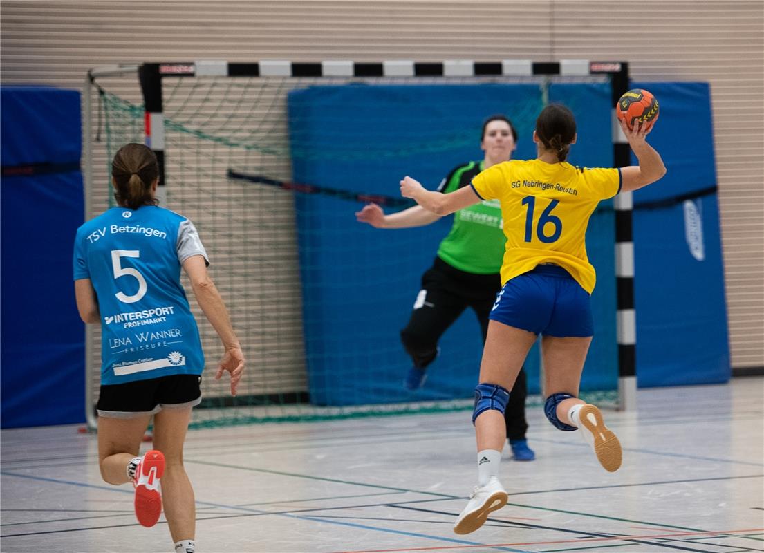 Die neue Sporthalle in Ammerbuch Entringen -   Handball Frauen SG Nebringen Reus...